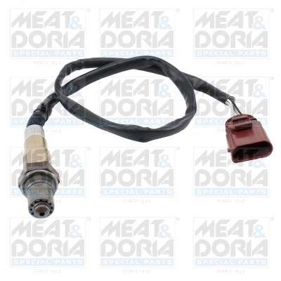 Oxygen Sensor
